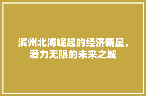 滨州北海崛起的经济新星,潜力无限的未来之城 滨州北海崛起的经济新星,潜力无限的未来之城