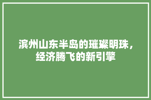 滨州山东半岛的璀璨明珠，经济腾飞的新引擎