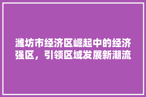 潍坊市经济区崛起中的经济强区,引领区域发展新潮流 潍坊市经济区崛起中的经济强区,引领区域发展新潮流