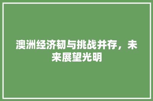 澳洲经济韧与挑战并存,未来展望光明 澳洲经济韧与挑战并存,未来展望光明
