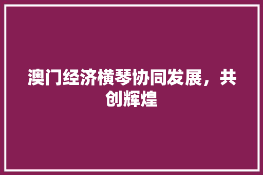 澳门经济横琴协同发展,共创辉煌 澳门经济横琴协同发展,共创辉煌