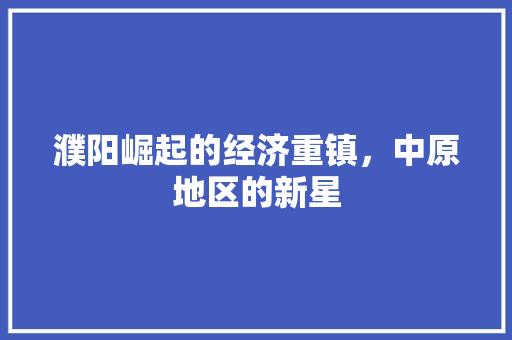 濮阳崛起的经济重镇,中原地区的新星 濮阳崛起的经济重镇,中原地区的新星