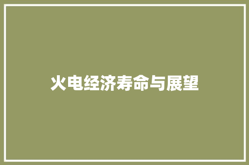 火电经济寿命与展望 火电经济寿命与展望