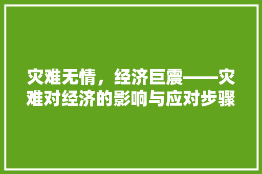 灾难无情,经济巨震——灾难对经济的影响与应对步骤 灾难无情,经济巨震——灾难对经济的影响与应对步骤