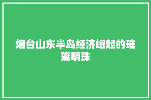 烟台山东半岛经济崛起的璀璨明珠 烟台山东半岛经济崛起的璀璨明珠