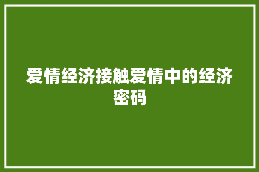 爱情经济接触爱情中的经济密码 爱情经济接触爱情中的经济密码