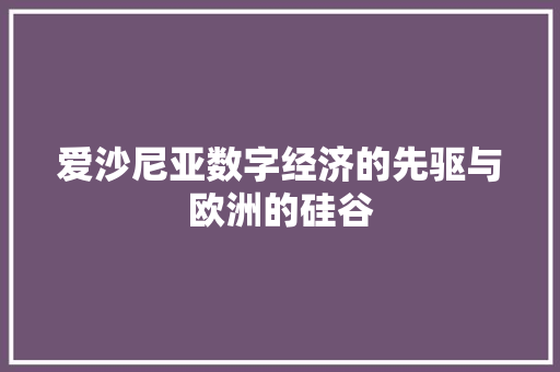 爱沙尼亚数字经济的先驱与欧洲的硅谷 爱沙尼亚数字经济的先驱与欧洲的硅谷