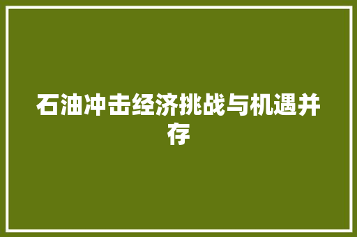 石油冲击经济挑战与机遇并存 石油冲击经济挑战与机遇并存