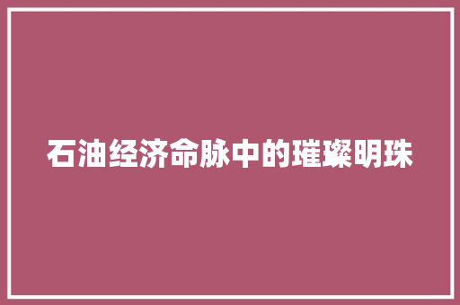 石油经济命脉中的璀璨明珠 石油经济命脉中的璀璨明珠