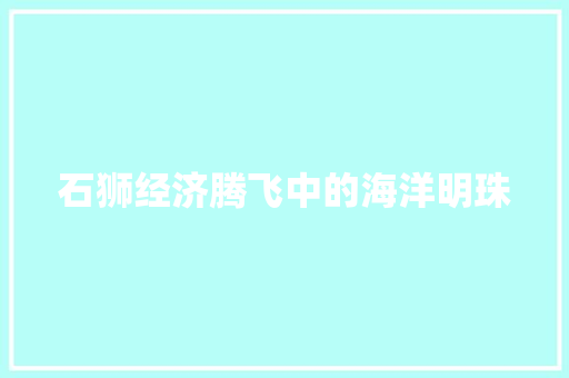 石狮经济腾飞中的海洋明珠 石狮经济腾飞中的海洋明珠
