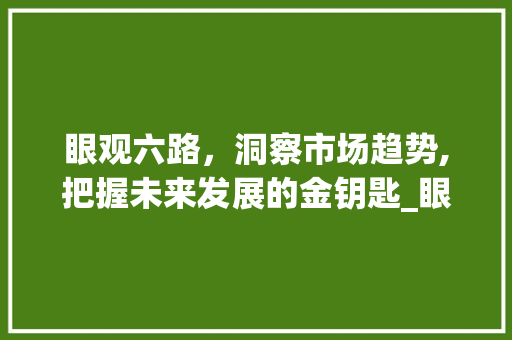 眼观六路,洞察市场趋势,把握未来发展的金钥匙_眼观六路市场趋势 眼观六路,洞察市场趋势,把握未来发展的金钥匙_眼观六路市场趋势