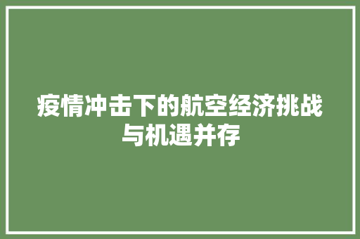 疫情冲击下的航空经济挑战与机遇并存 疫情冲击下的航空经济挑战与机遇并存