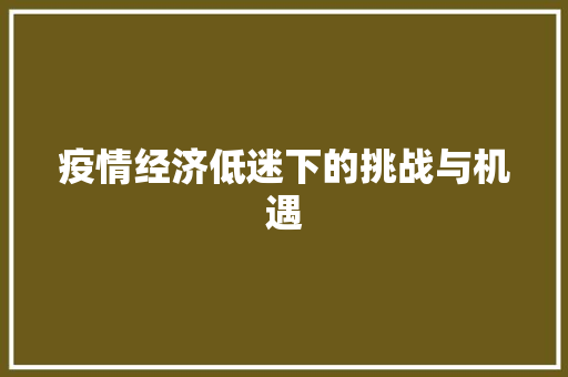 疫情经济低迷下的挑战与机遇 疫情经济低迷下的挑战与机遇