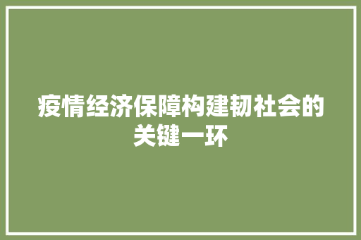 疫情经济保障构建韧社会的关键一环 疫情经济保障构建韧社会的关键一环