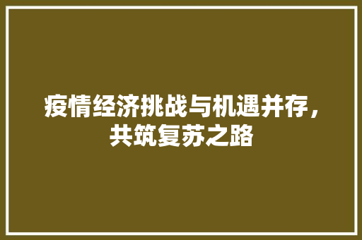 疫情经济挑战与机遇并存,共筑复苏之路 疫情经济挑战与机遇并存,共筑复苏之路