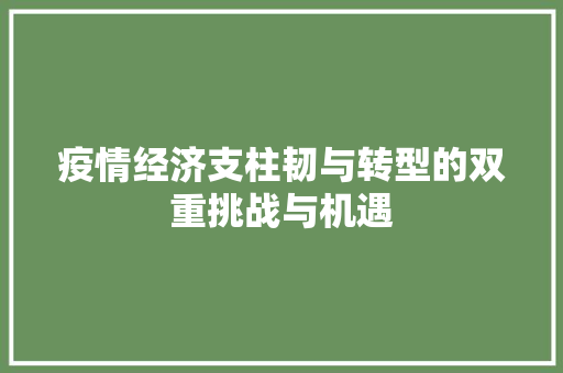 疫情经济支柱韧与转型的双重挑战与机遇 疫情经济支柱韧与转型的双重挑战与机遇