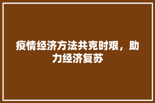 疫情经济方法共克时艰,助力经济复苏 疫情经济方法共克时艰,助力经济复苏