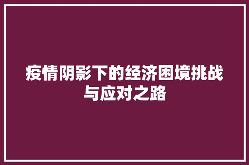 疫情阴影下的经济困境挑战与应对之路 疫情阴影下的经济困境挑战与应对之路