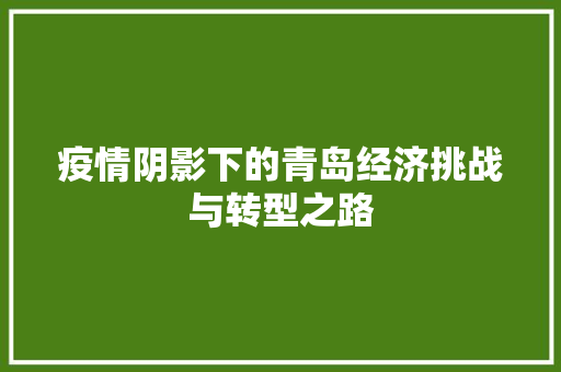 疫情阴影下的青岛经济挑战与转型之路 疫情阴影下的青岛经济挑战与转型之路