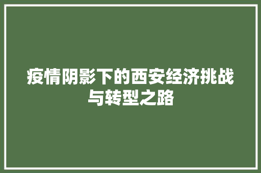 疫情阴影下的西安经济挑战与转型之路 疫情阴影下的西安经济挑战与转型之路