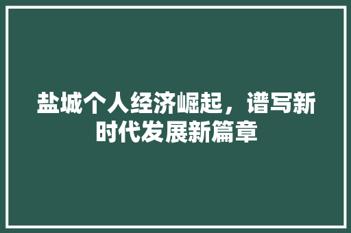 盐城个人经济崛起,谱写新时代发展新篇章 盐城个人经济崛起,谱写新时代发展新篇章