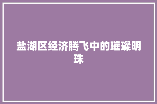 盐湖区经济腾飞中的璀璨明珠 盐湖区经济腾飞中的璀璨明珠