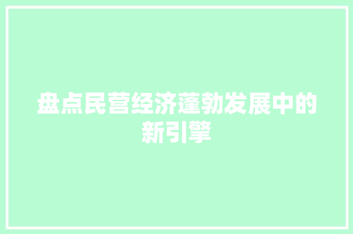 盘点民营经济蓬勃发展中的新引擎 盘点民营经济蓬勃发展中的新引擎