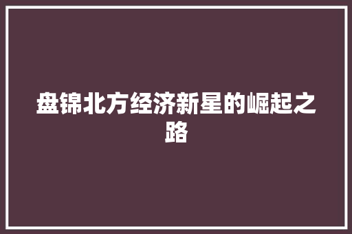 盘锦北方经济新星的崛起之路 盘锦北方经济新星的崛起之路