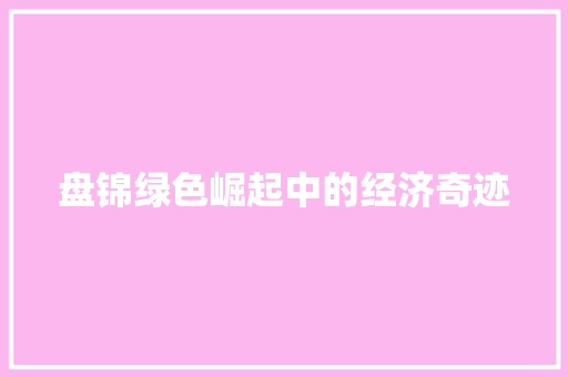 盘锦绿色崛起中的经济奇迹 盘锦绿色崛起中的经济奇迹