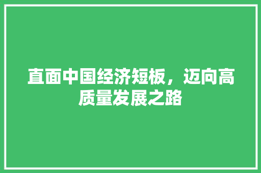 直面中国经济短板,迈向高质量发展之路 直面中国经济短板,迈向高质量发展之路