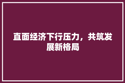 直面经济下行压力,共筑发展新格局 直面经济下行压力,共筑发展新格局