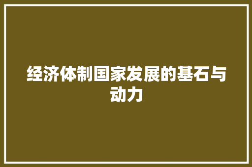 经济体制国家发展的基石与动力 经济体制国家发展的基石与动力