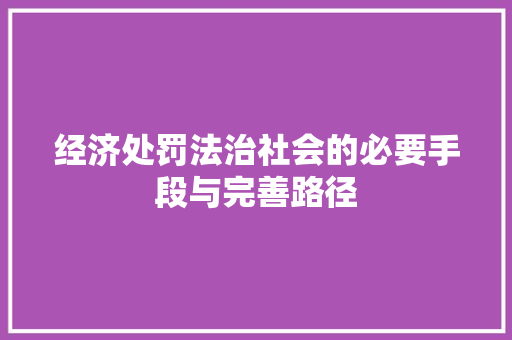 经济处罚法治社会的必要手段与完善路径 经济处罚法治社会的必要手段与完善路径