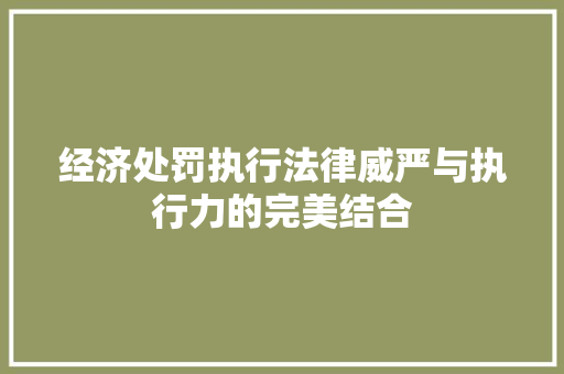 经济处罚执行法律威严与执行力的完美结合 经济处罚执行法律威严与执行力的完美结合