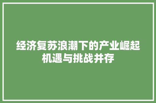 经济复苏浪潮下的产业崛起机遇与挑战并存 经济复苏浪潮下的产业崛起机遇与挑战并存