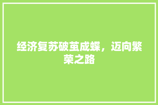 经济复苏破茧成蝶,迈向繁荣之路 经济复苏破茧成蝶,迈向繁荣之路