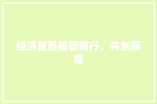 经济复苏砥砺前行，共创辉煌
