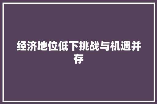 经济地位低下挑战与机遇并存 经济地位低下挑战与机遇并存
