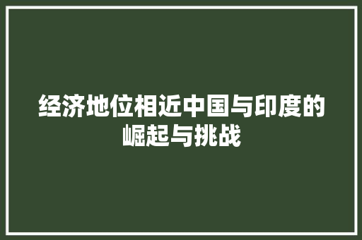 经济地位相近中国与印度的崛起与挑战 经济地位相近中国与印度的崛起与挑战
