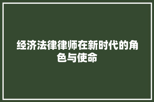 经济法律律师在新时代的角色与使命