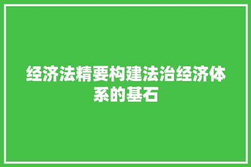 经济法精要构建法治经济体系的基石 经济法精要构建法治经济体系的基石