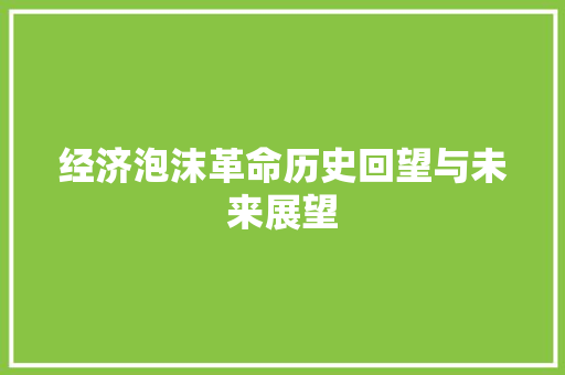 经济泡沫革命历史回望与未来展望 经济泡沫革命历史回望与未来展望