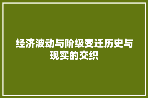 经济波动与阶级变迁历史与现实的交织 经济波动与阶级变迁历史与现实的交织