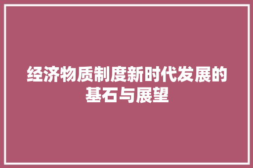 经济物质制度新时代发展的基石与展望 经济物质制度新时代发展的基石与展望