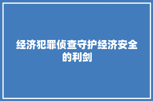 经济犯罪侦查守护经济安全的利剑 经济犯罪侦查守护经济安全的利剑
