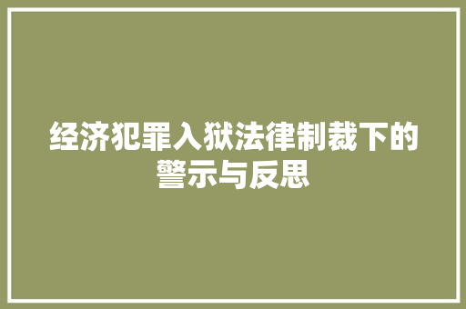 经济犯罪入狱法律制裁下的警示与反思