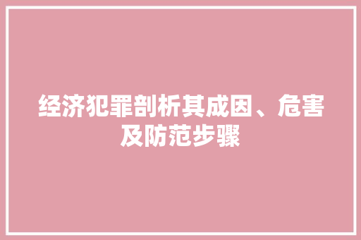 经济犯罪剖析其成因、危害及防范步骤 经济犯罪剖析其成因、危害及防范步骤