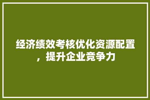 经济绩效考核优化资源配置,提升企业竞争力 经济绩效考核优化资源配置,提升企业竞争力