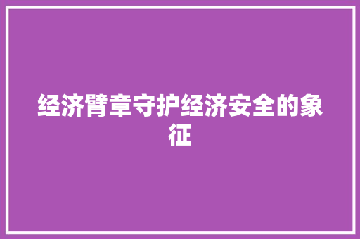 经济臂章守护经济安全的象征 经济臂章守护经济安全的象征