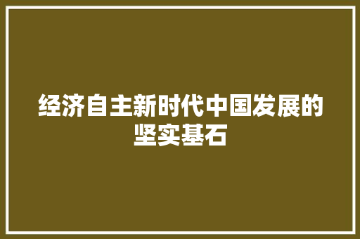 经济自主新时代中国发展的坚实基石 经济自主新时代中国发展的坚实基石